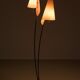 Organically Shaped Floor Lamp