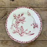 Set of 6 dinner plates models Cactus de Gien