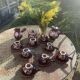 Coffee or tea service in enameled ceramic by Marius Giuge, artisan potter in Vallauris,