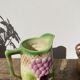 Pitcher in slip - earthenware Saint Clement numbered with fruit and grape basket decoration
