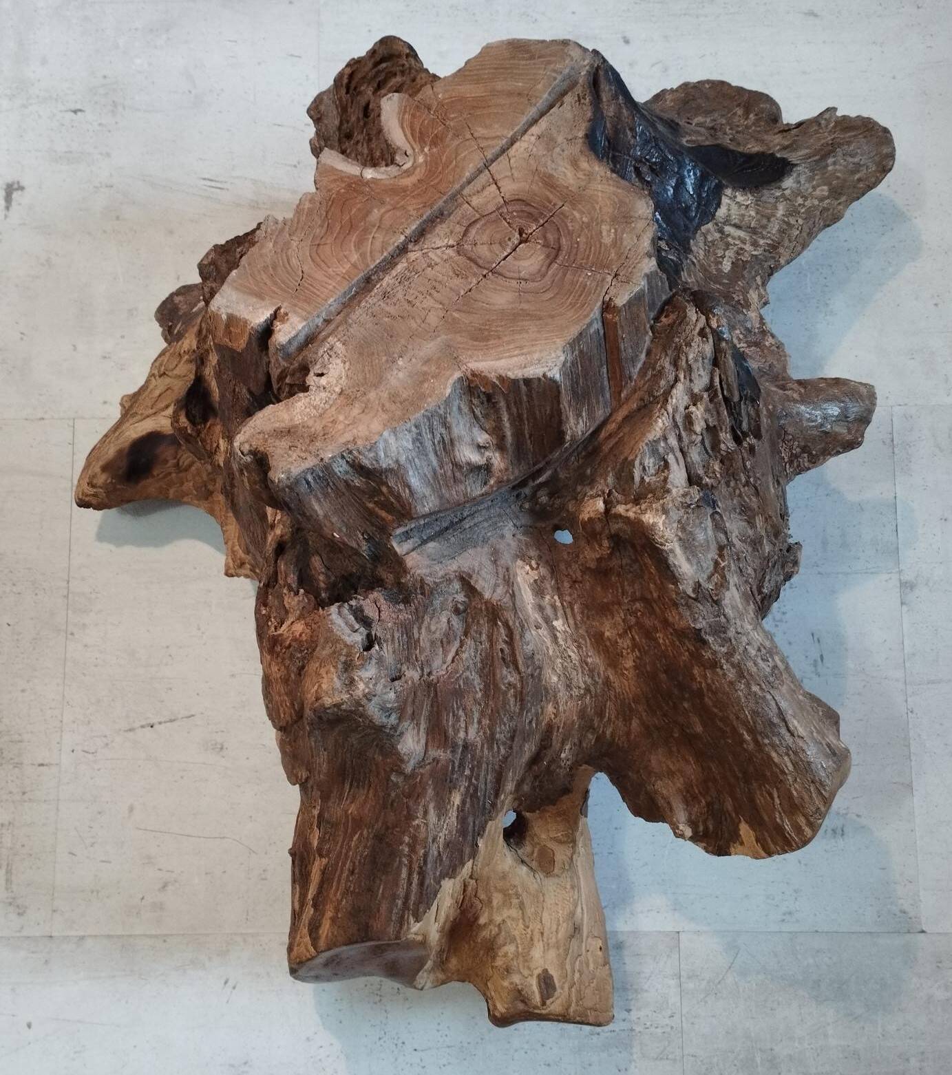 Sculptural wooden centrepiece, organic bowl, brutalist.