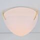 Regency Brass and White Glass Ceiling Lamp from Milan, Spain, 1970s