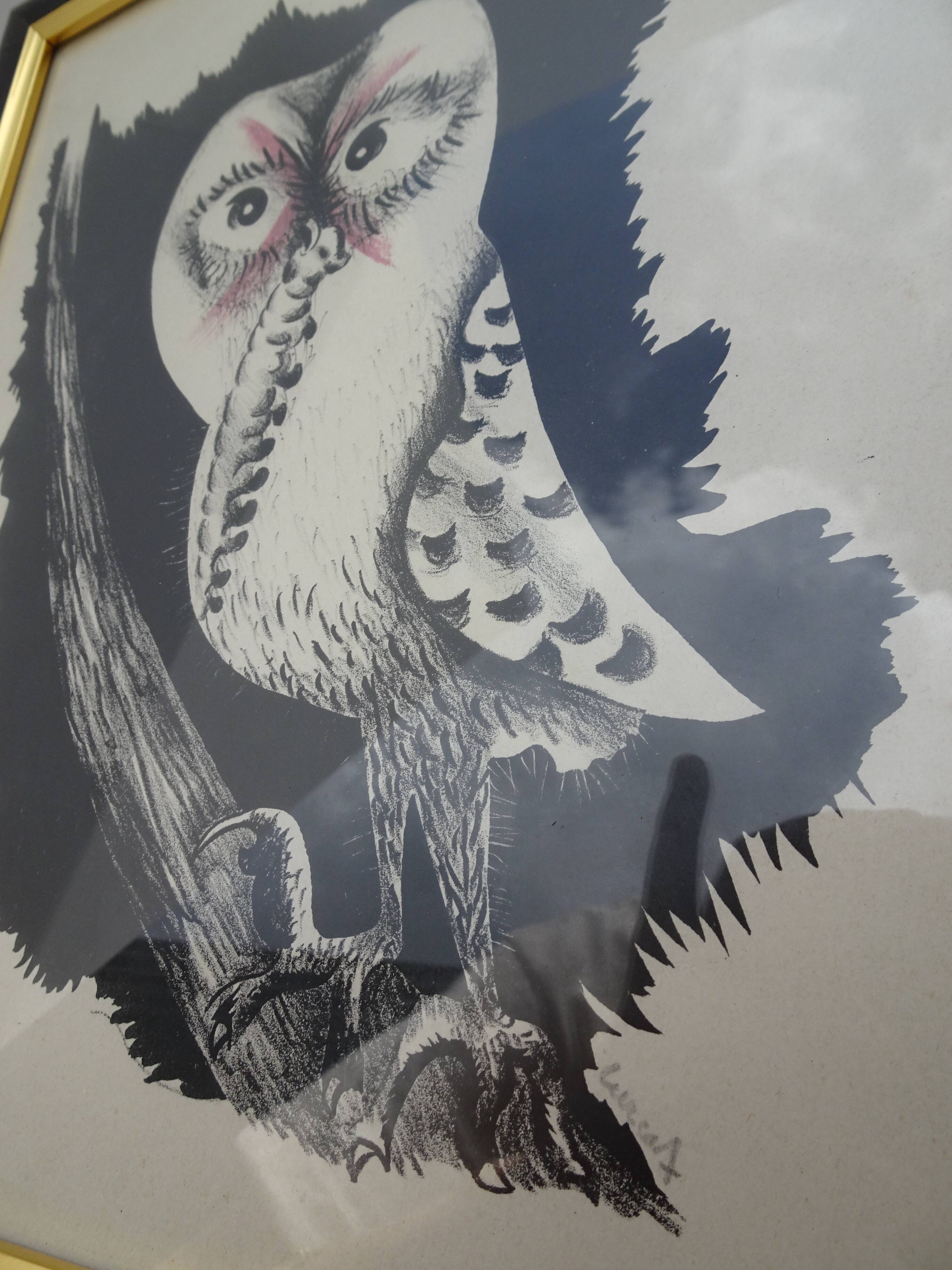 Jean Lurçat Lithographie  Chouette de Bonne espérance