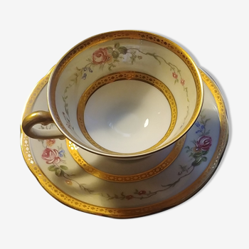 Limoges porcelain cup and saucer