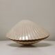 Shell lamp by Michèle Mahé, Diffusion Disderot, Roche Bobois distribution 1970