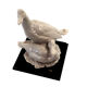 Paire de canards par Guiseppe Armani Capodimonte Florence, porcelaine blanche