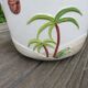 Flower pot "palm" ceramic Bassano Italy 60 70 years