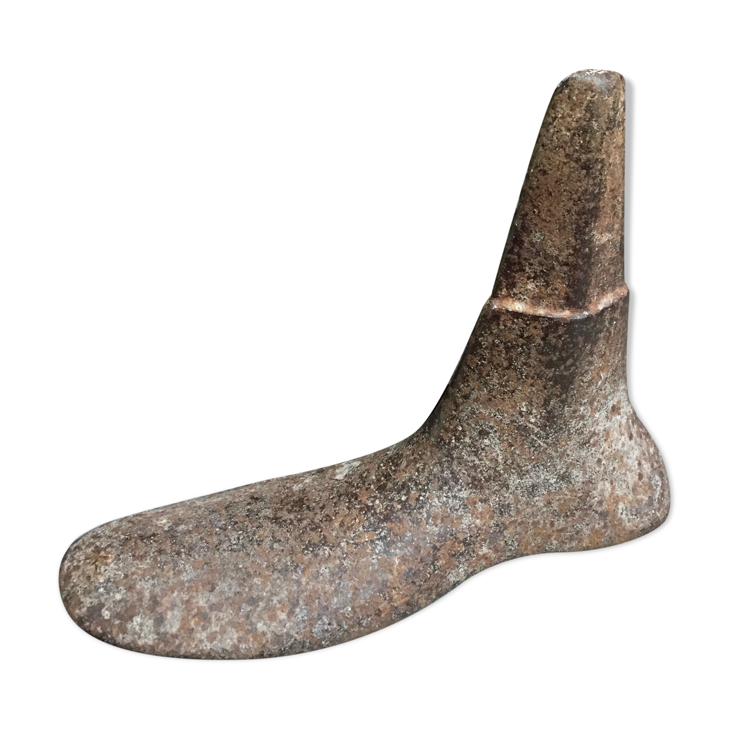 Former cobbler's anclume