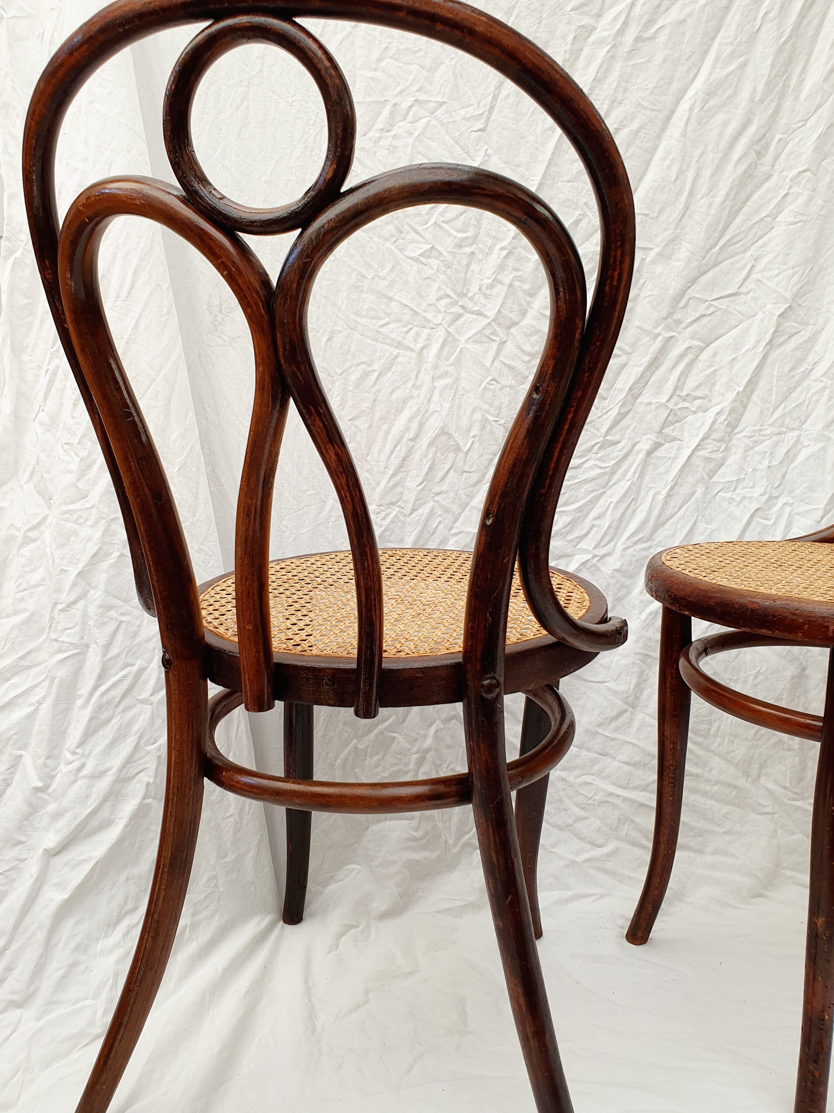 Paire de chaises cannées J&J Kohn  n°36