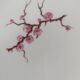 Vintage Limoges porcelain presentation dish
