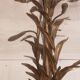 Late 19th century gilt bronze fleur-de-lis chandelier