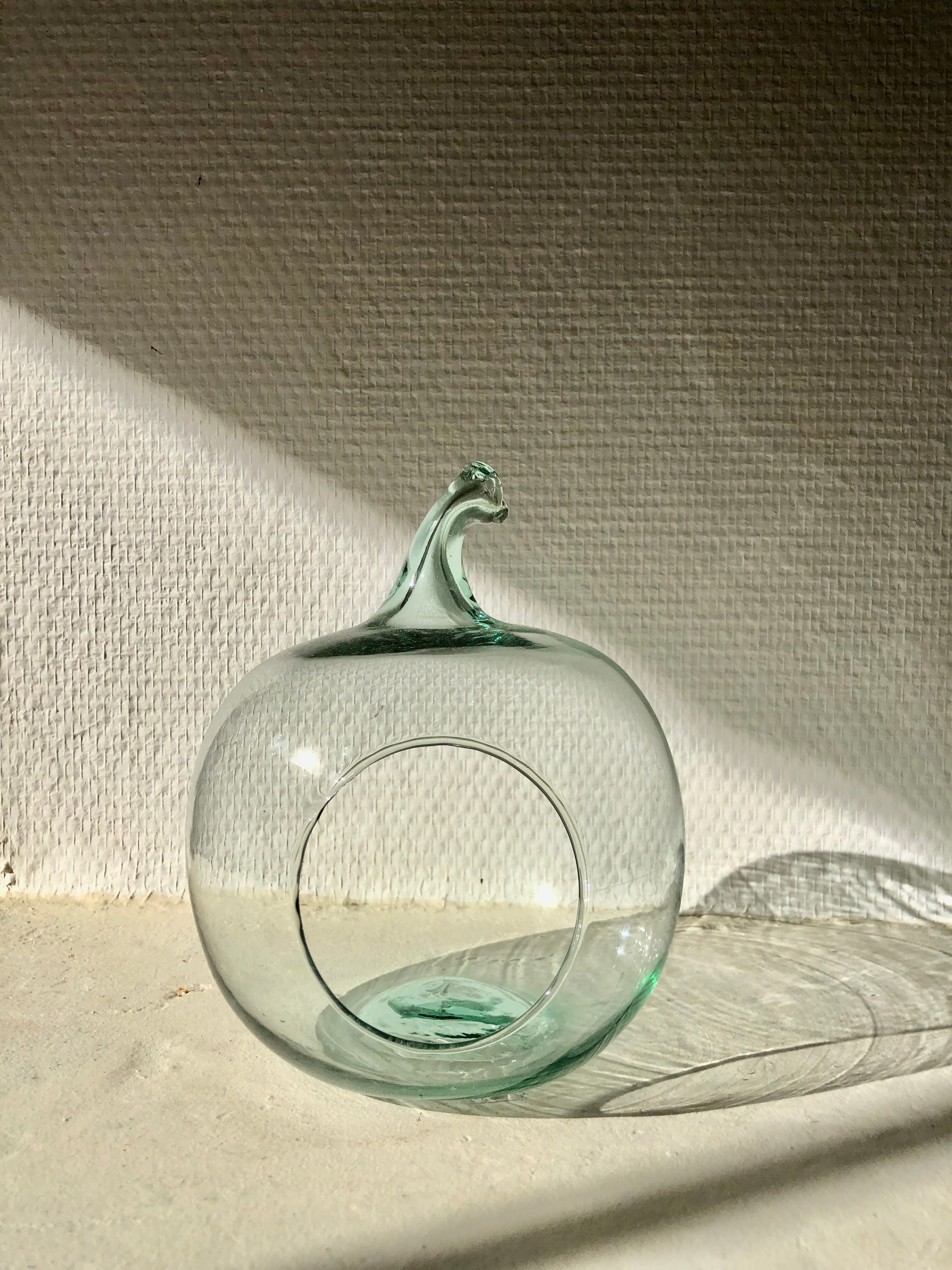 Apple-shaped terrarium vase