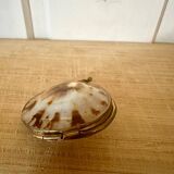 Shell and brass pill box