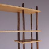 1950s stick cabinet from the Netherlands