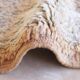 Vintage Moroccan Rug - 418 x 210 cm