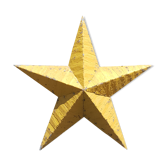 Amish star mustard 60 cm