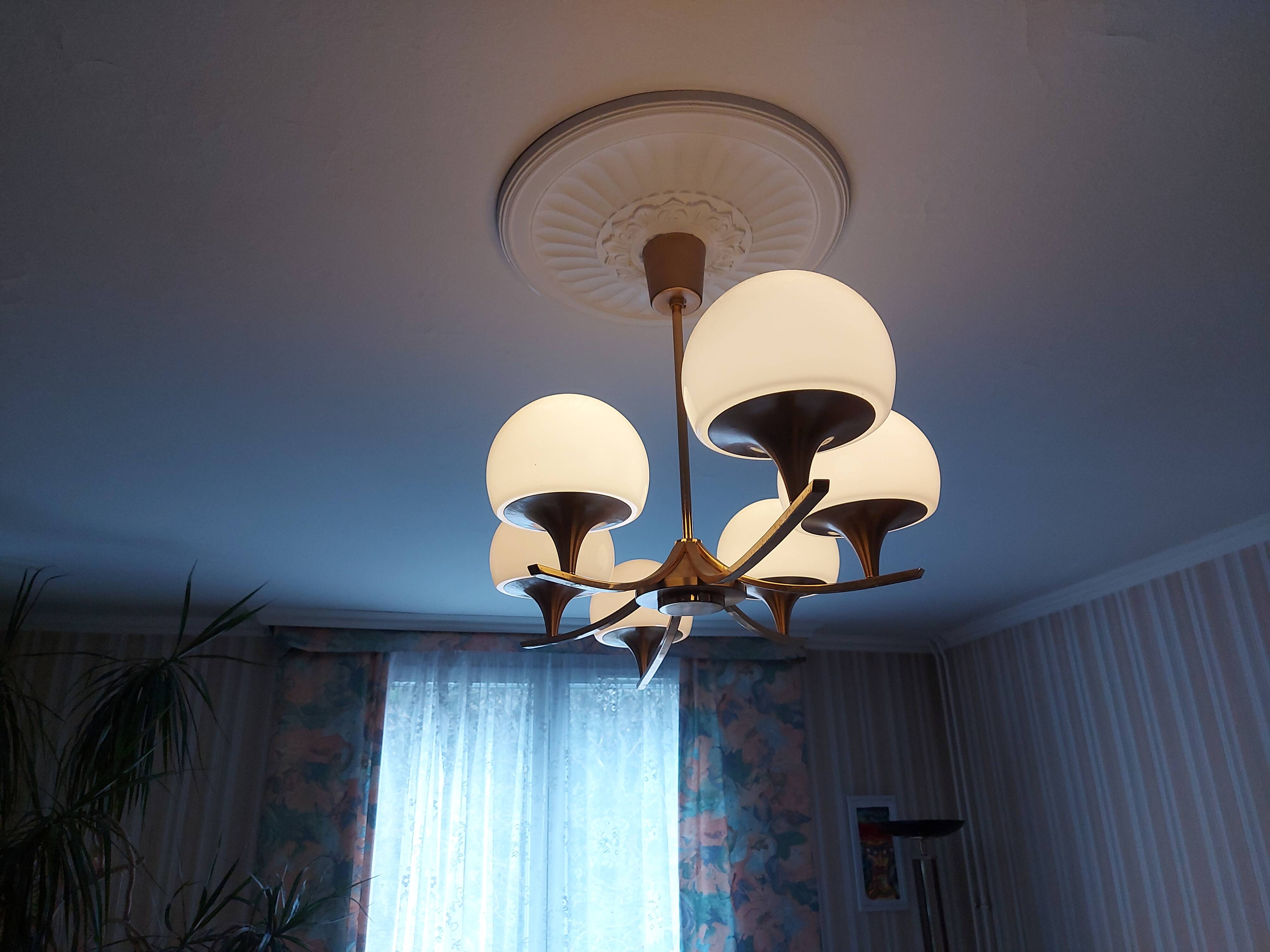 sciolari 6 lights chandelier