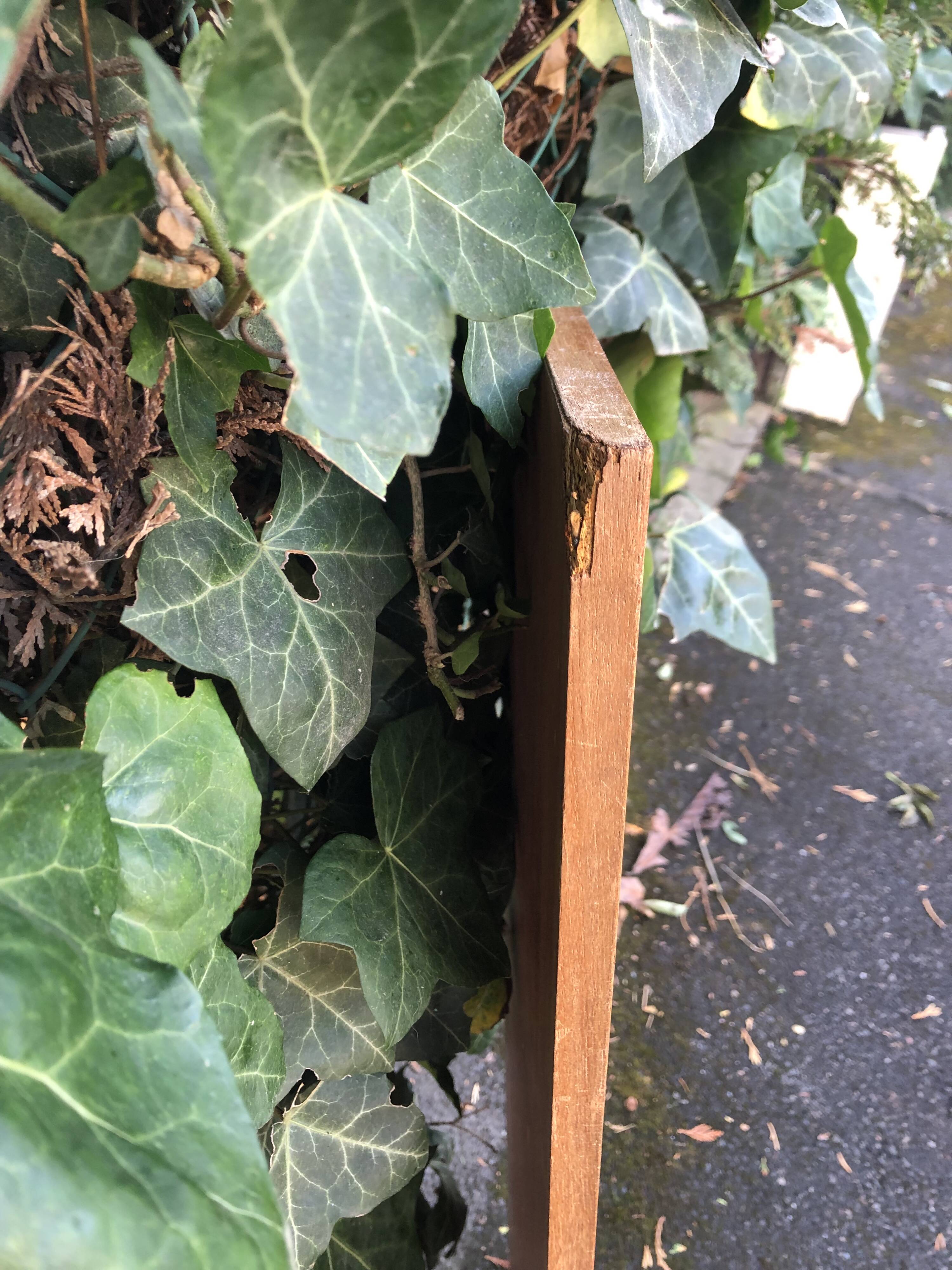 Scandinavian teak mirror 60s