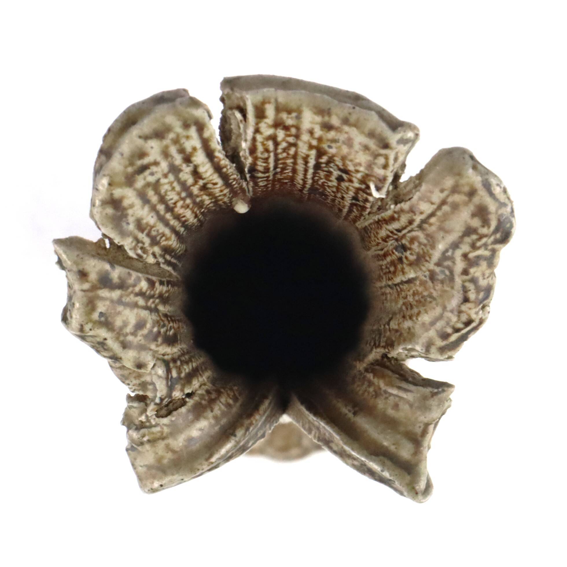 Vase by Gustave Tiffoche in stoneware 1960