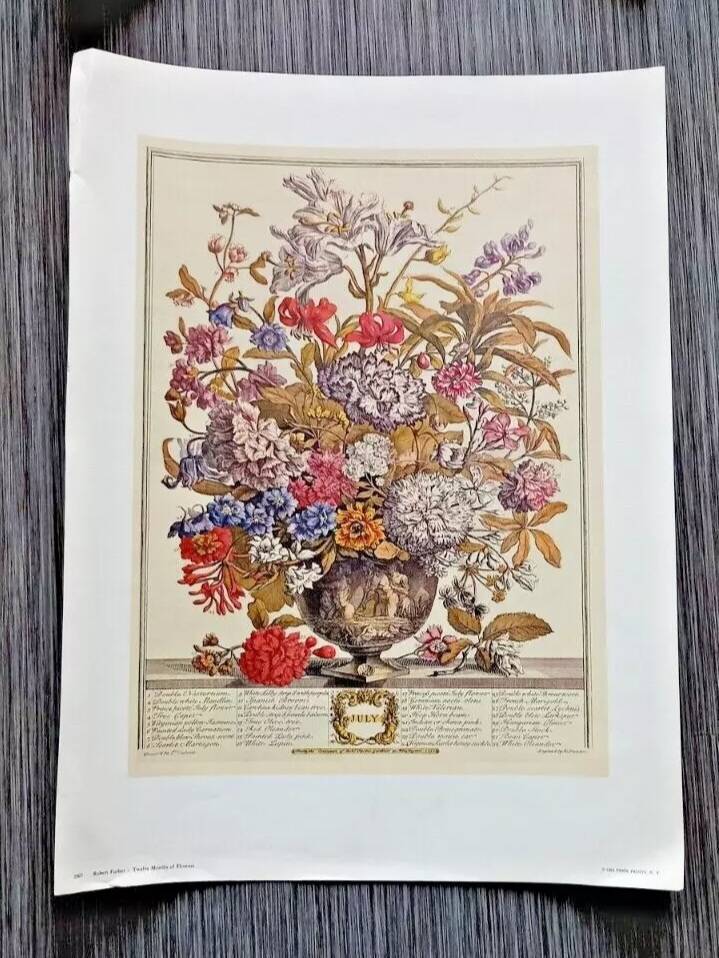 Lot of 19th century Floral Engravings - Vintage Art Print Flowers - 12 months - Robert Furber