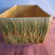 Sarguemines planter / fruit slip centerpiece