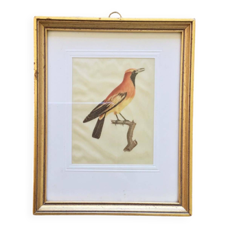 Vintage bird frame on fabric