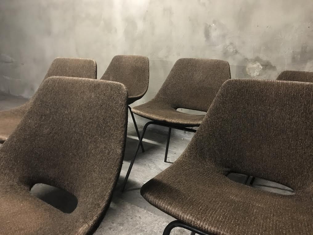 Set of 6 chairs "Tonneau" Pierre Guariche, Steiner Editions