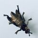 Cendrier mouche en laiton