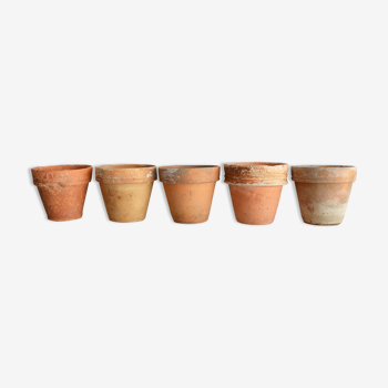 5 old terracotta pots 10 cm