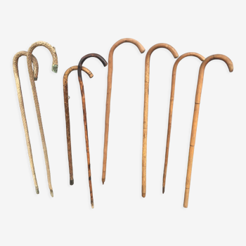 Set of old canes