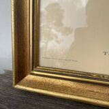 Golden wooden bird frame ornithological board