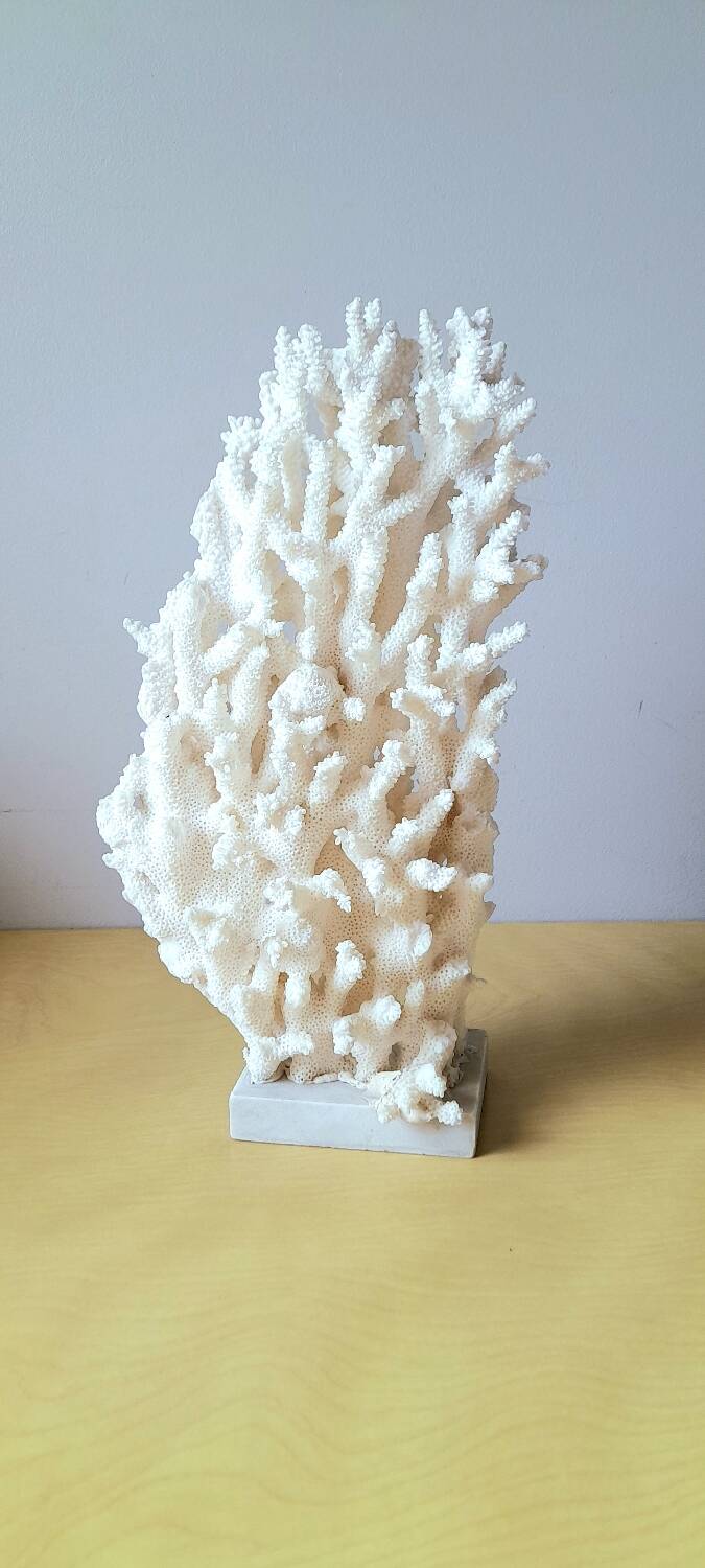 Antique white coral on marble base