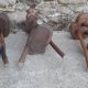 3 tabourets brutaliste en bois H 80 cm
