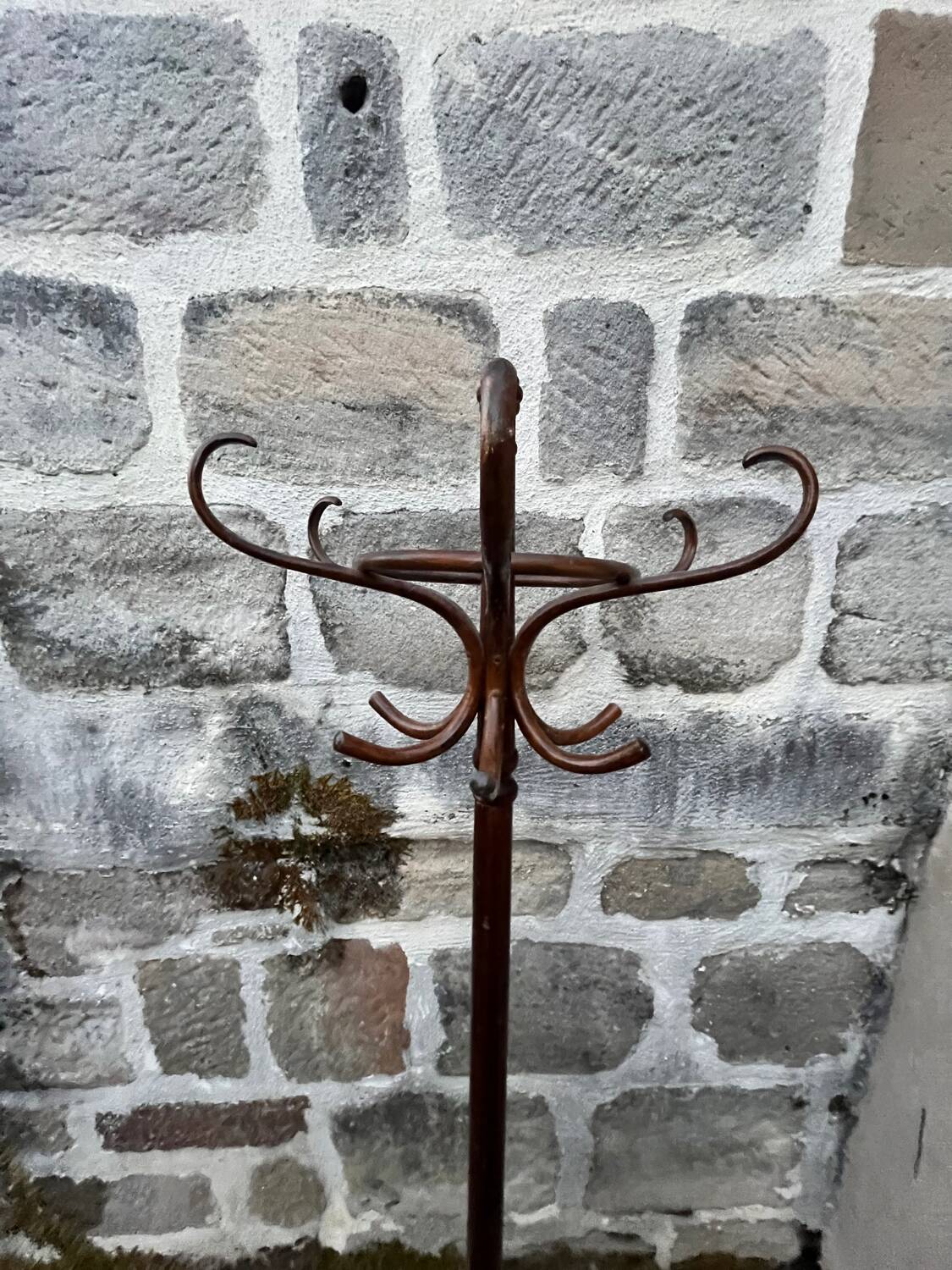 Coat rack parrot