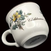 Set of 6 coffee cups and saucers Villeroy & Boch, vintage, Botanica