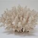 Buisson de corail blanc vintage