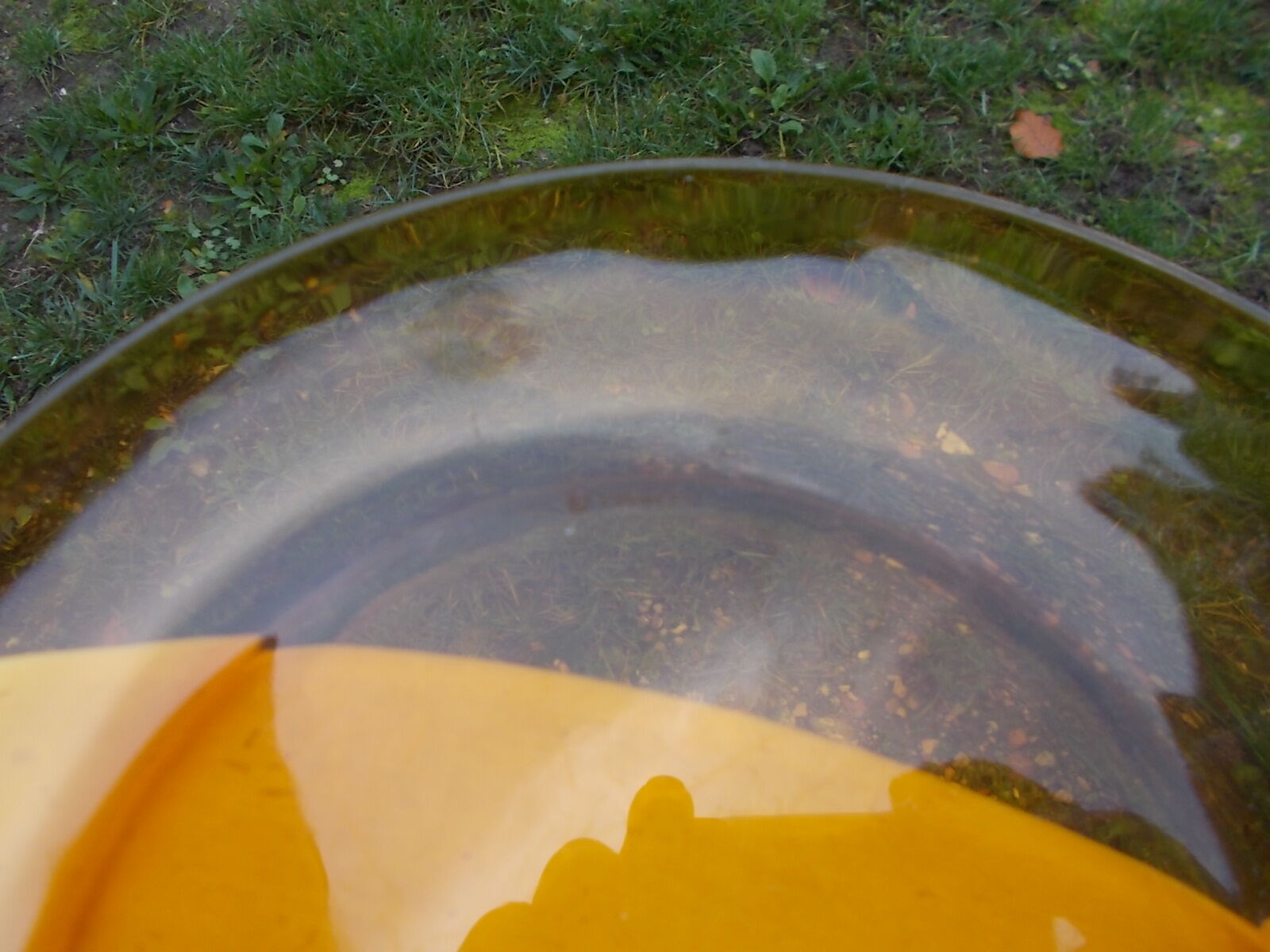 6 flat plates Duralex