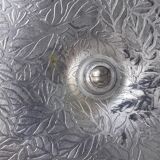 Saleron strawberries