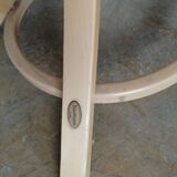 Baumann parrot coat holder