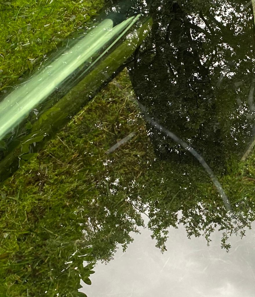 Wengé and Smoked Glass Coffee Table By Martin Visser For Spectrum Ca. 1970s