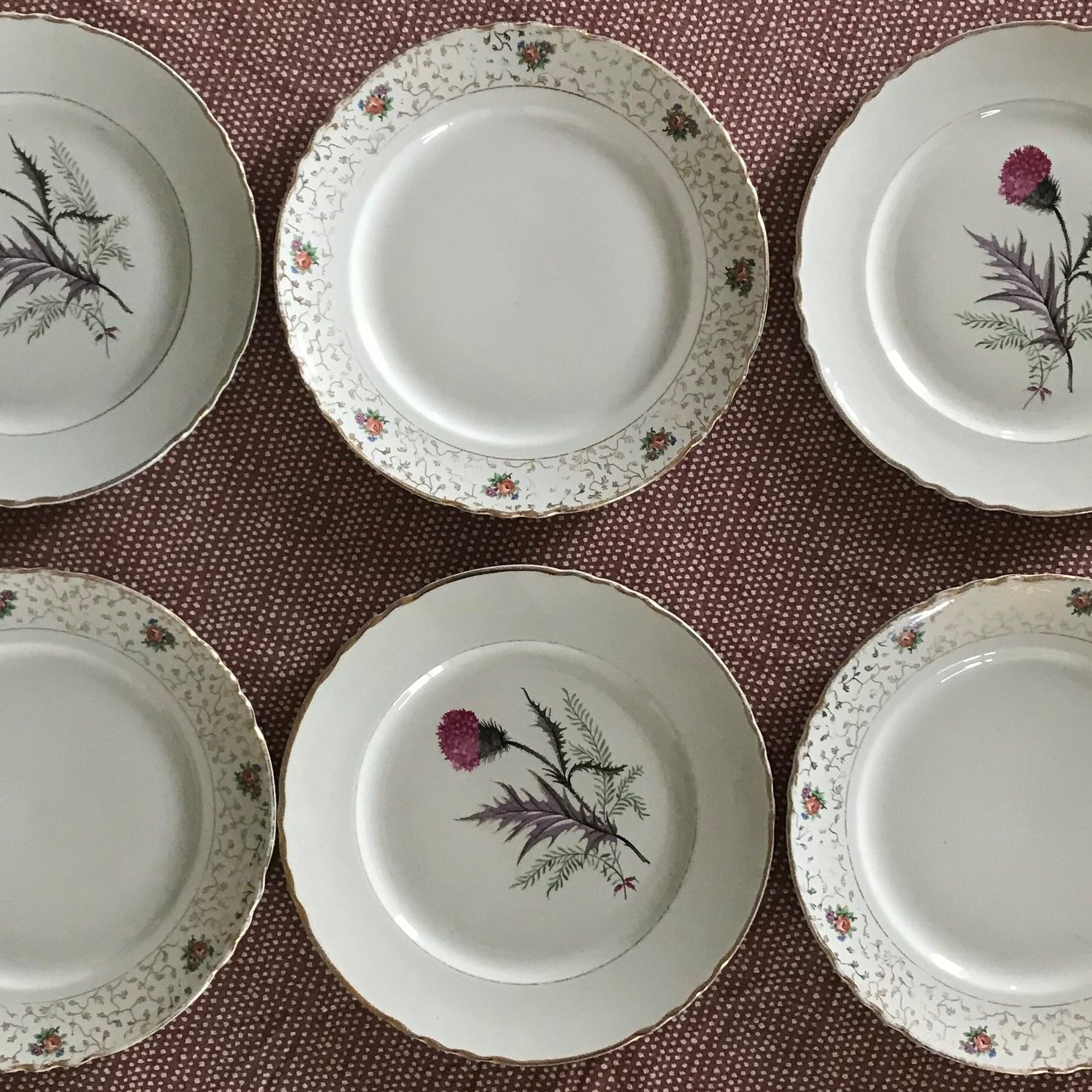 Series of 6 vintage plates