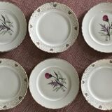 Series of 6 vintage plates