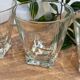 4 verres à digestif