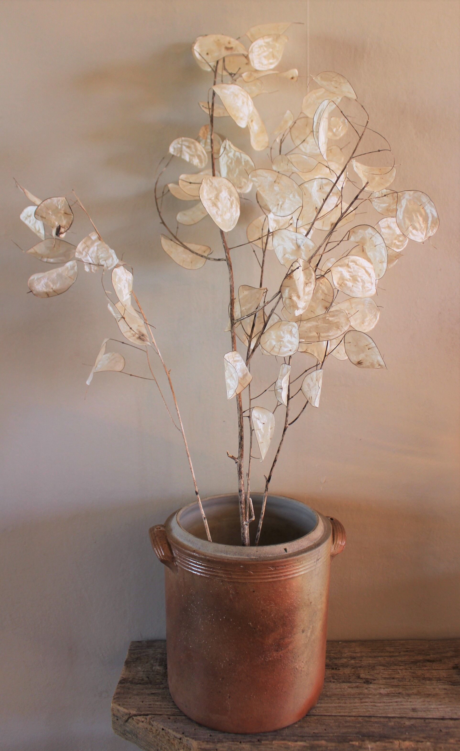 Pot Terre Cuite Right two handles