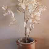 Pot Terre Cuite Right two handles