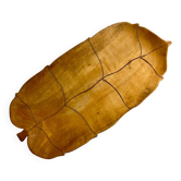 Wooden fruit bowl