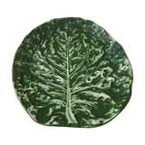 Large Cabbage Leaf Slush Dish