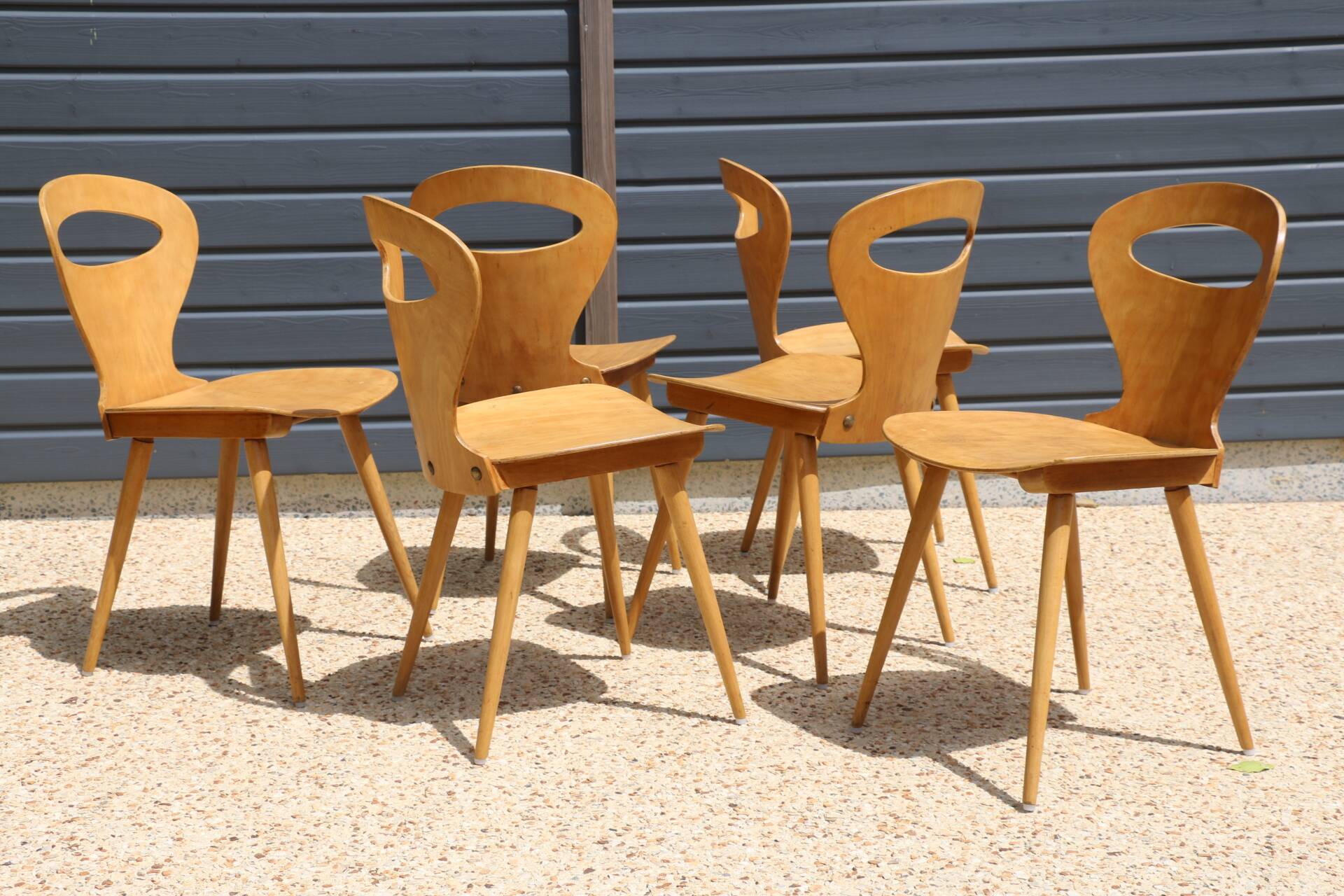 6 BAUMANN V2 chairs in light beech