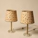 Pair of lamps with hand-painted floral shades