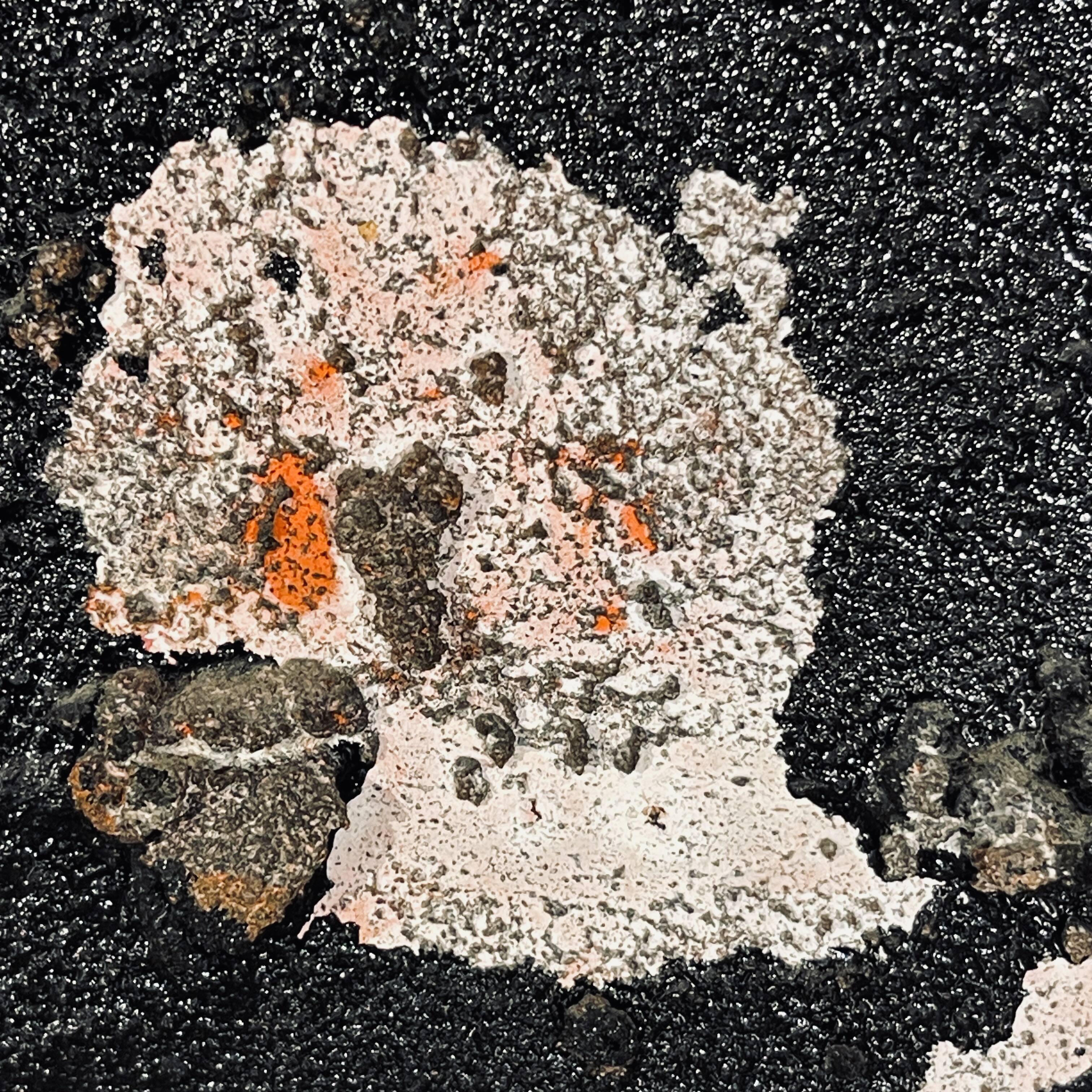 abstract painting, oil and concretions on panel No. 16, LM Londot 1963